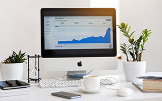 如何通过Token钱包网址实现多策略投资，分散风险让资产稳健增值